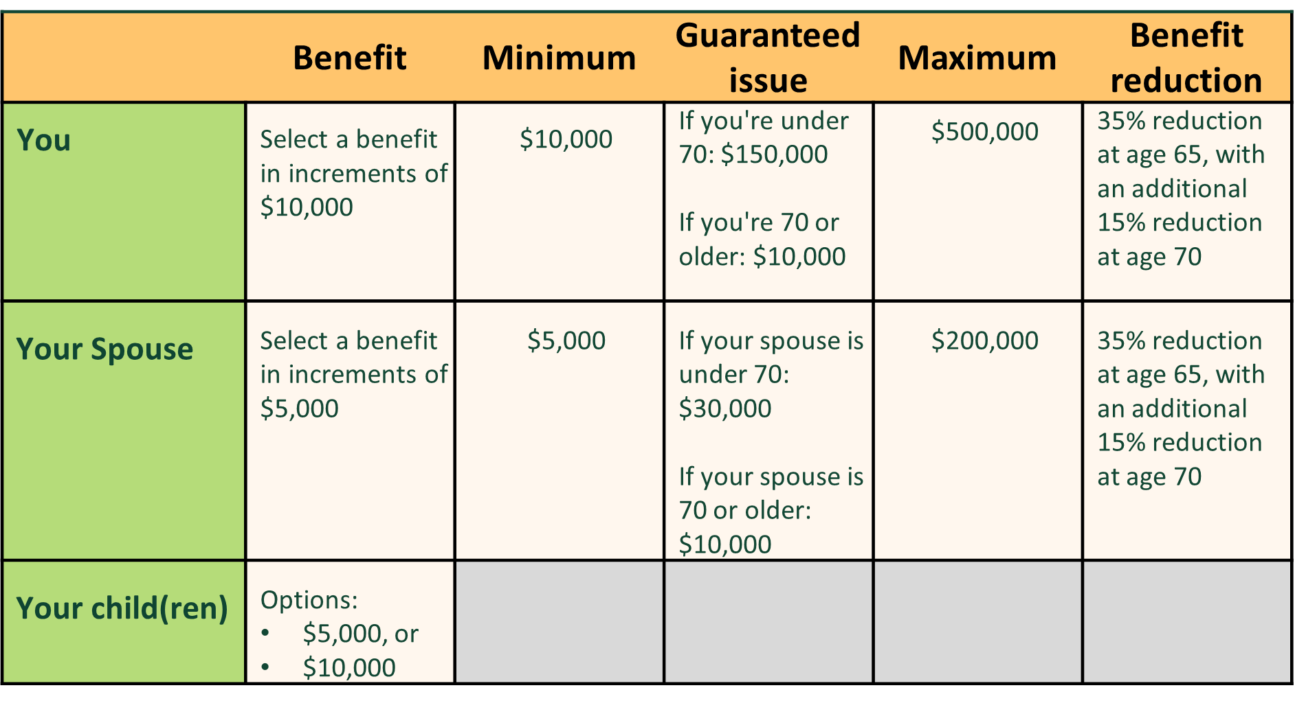 Voluntary Life benefits