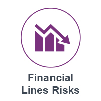 Financial Lines Risk