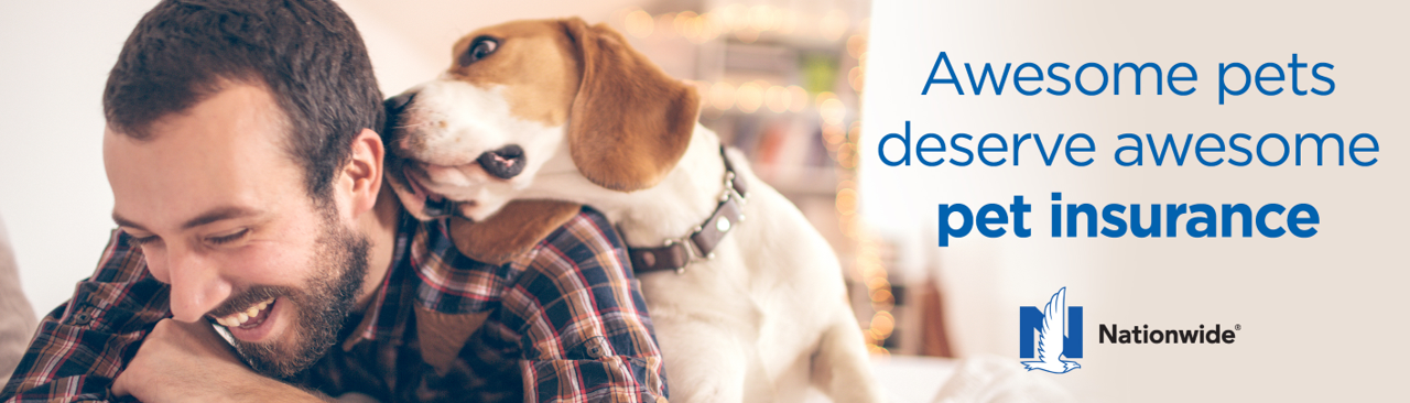 pet insurance