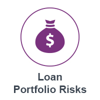Loan+Portfolio+Risks