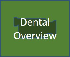 Dental Overview