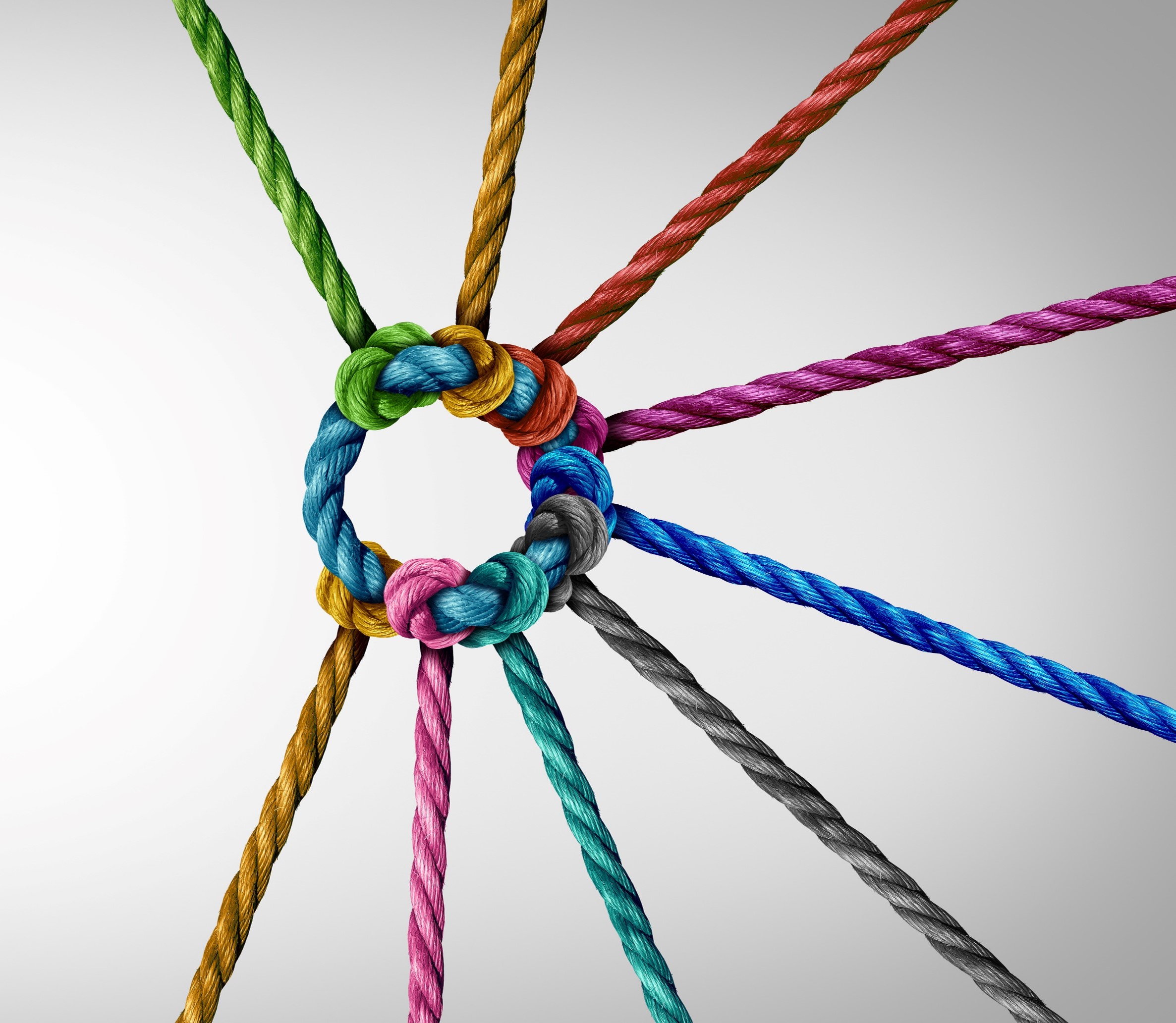 Compliance Support Rope Image
